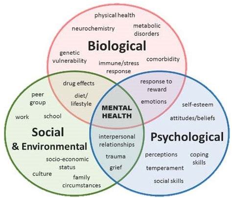 Quite simply, this approach includes the influences of biological factors, psychological factors, and social factors when looking at overall health. . Biopsychosocial model of mental health